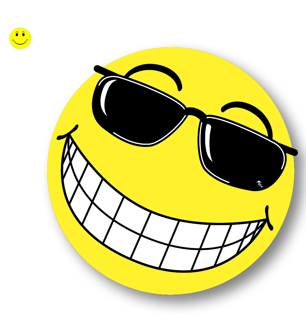 WINDSHIELD HAPPY FACE