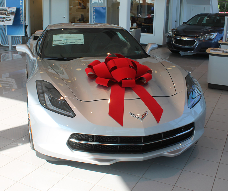 30" RED VELVET MAGNETIC CAR BOWS
