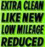 15 in. CHARTREUSE SLOGANS
