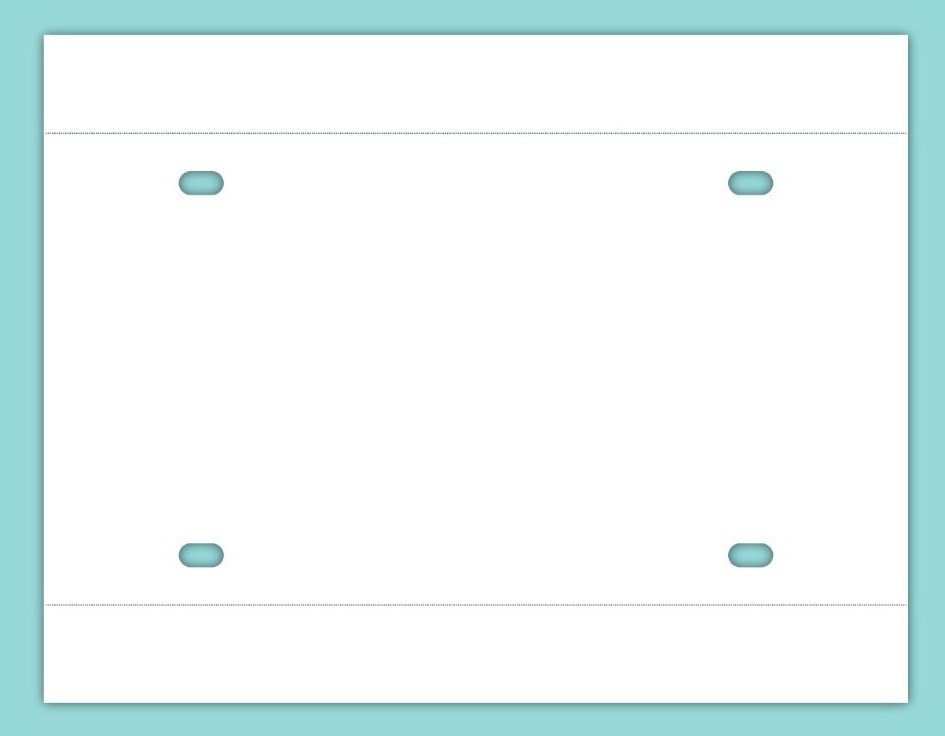 Teslin Temporary License Plate Paper Dual Perf