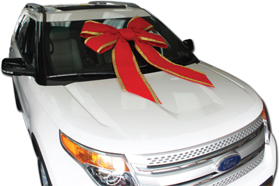 36" VELVET WINDSHIELD CAR BOWS