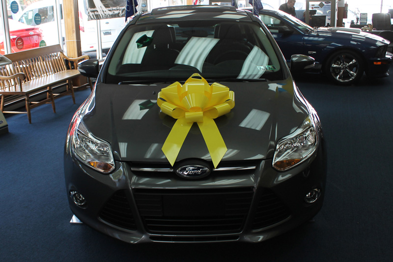 22" SUCTION CUP CAR BOWS